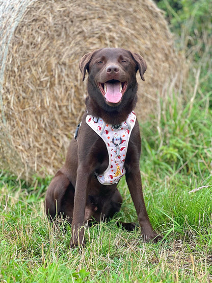 Mighty Explorer - Hedgehugs Harness