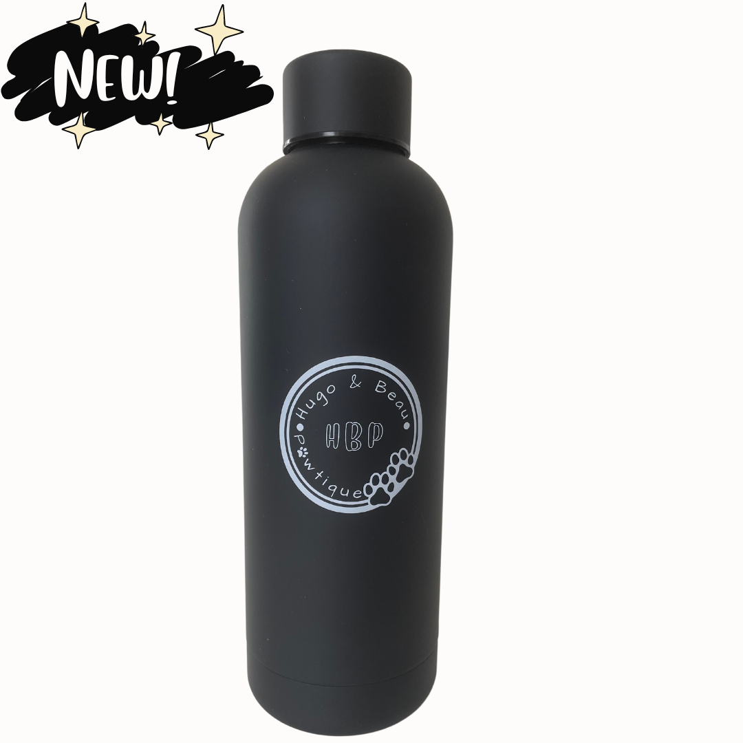 Insulated Water Bottle