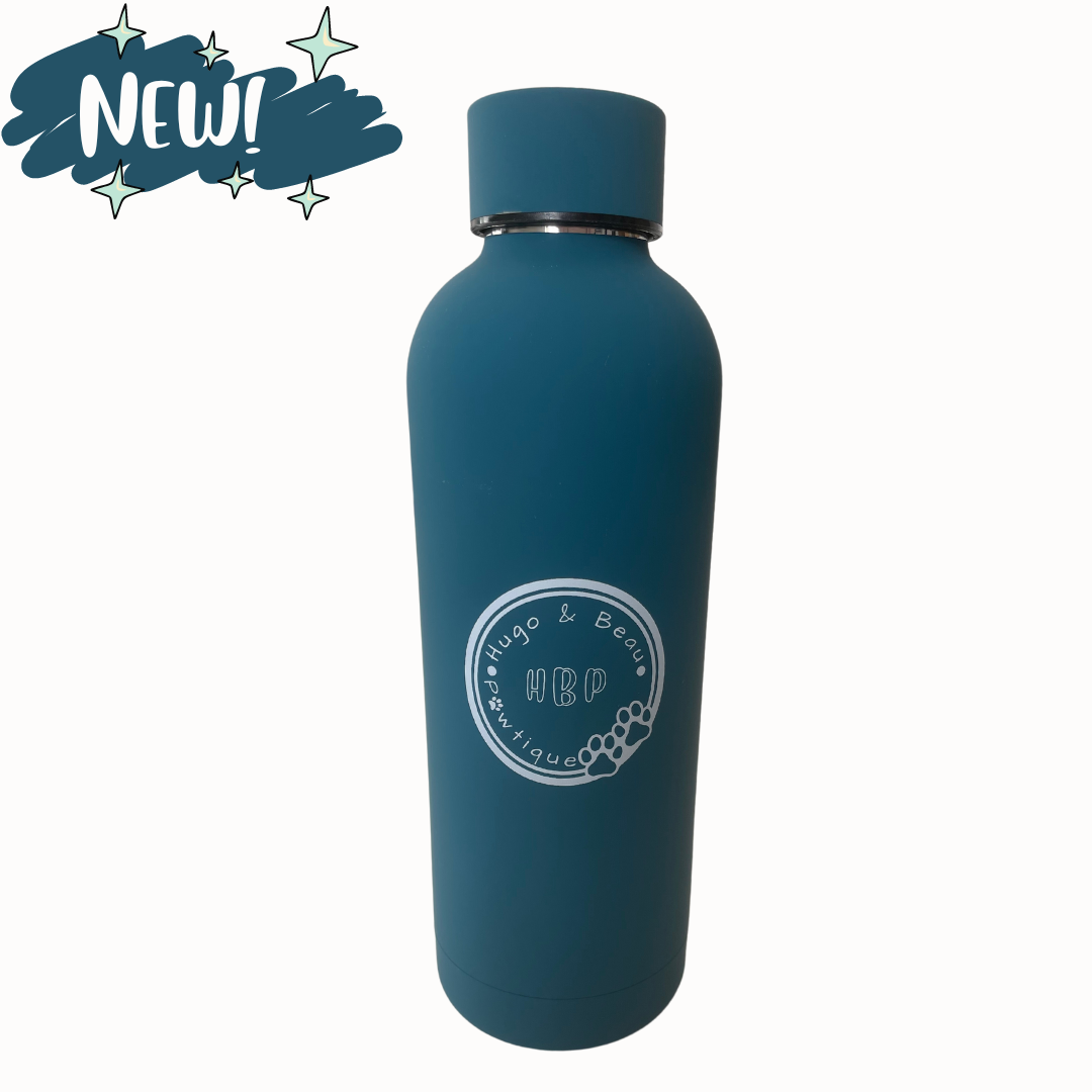 Insulated Water Bottle