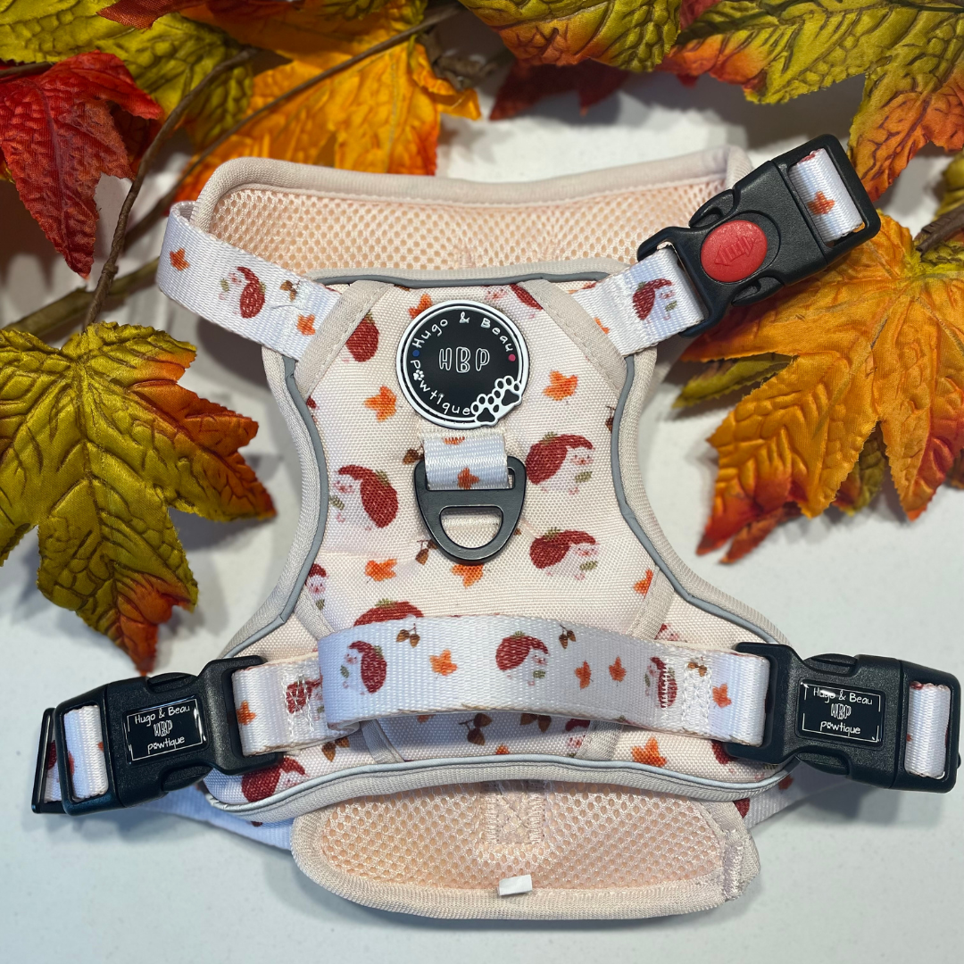 Mighty Explorer - Hedgehugs Harness