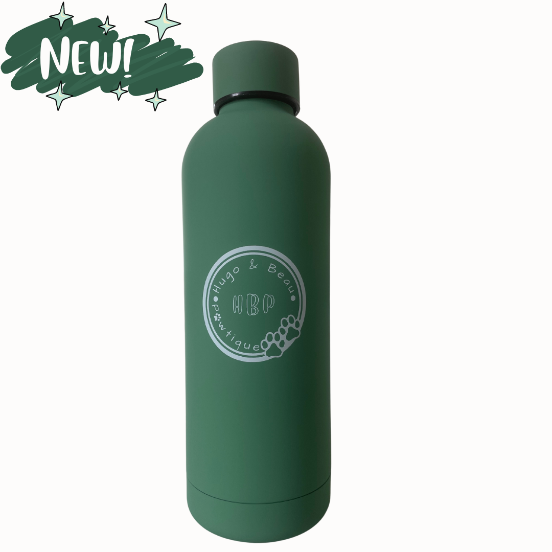 Insulated Water Bottle