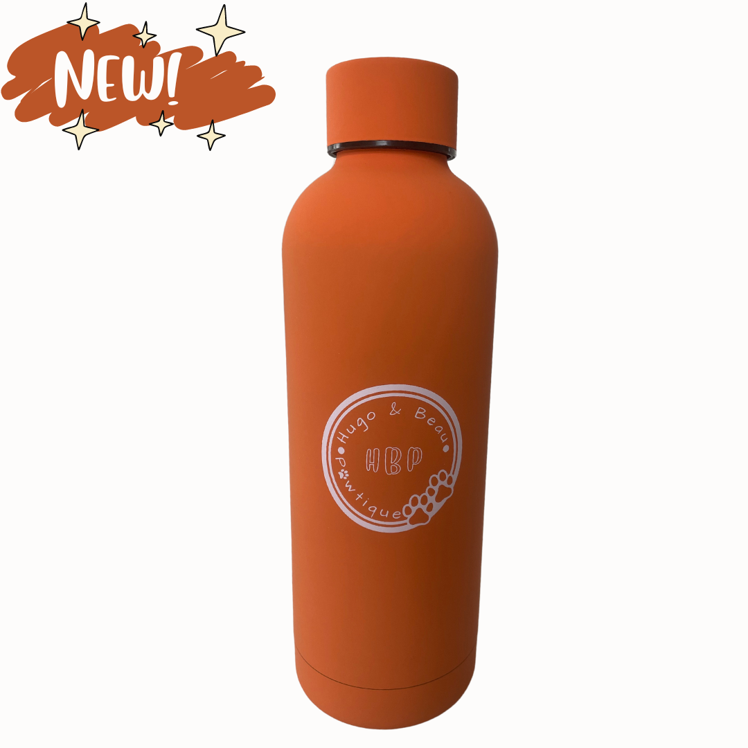 Insulated Water Bottle